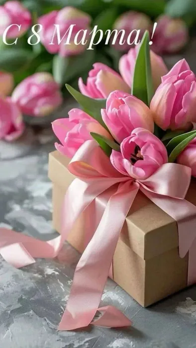 photo_5289927355688227791_y